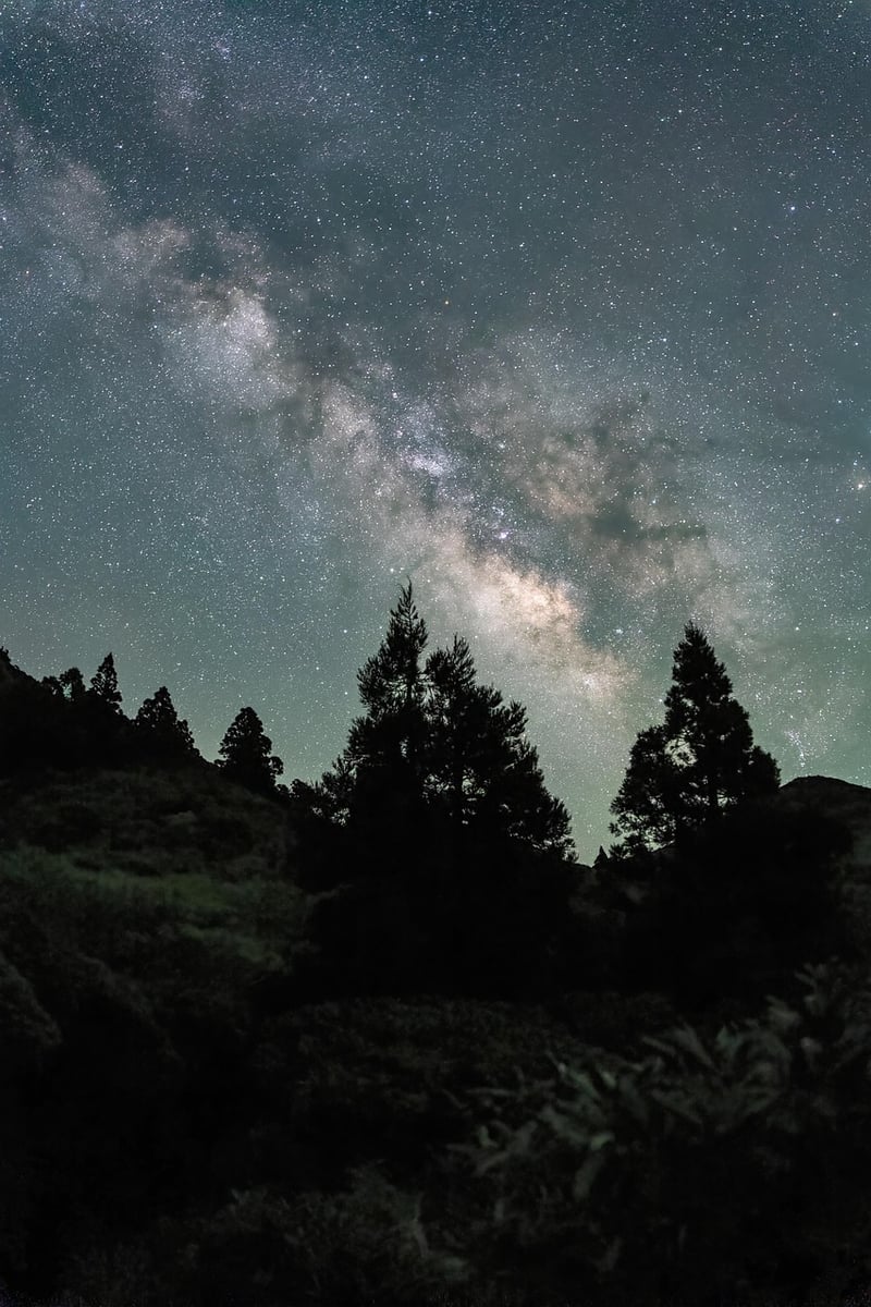 Multiverse Theories
